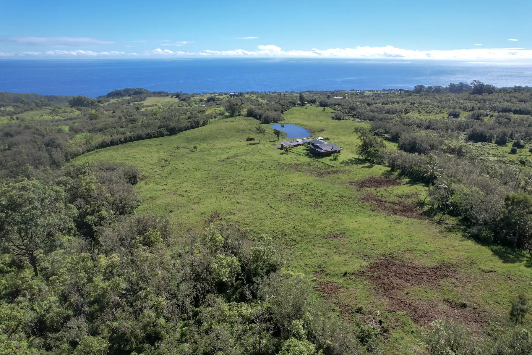 Pasture and forest above the Hāmākua Coast running down to the ocean